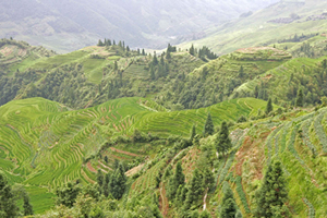 Chine Intimiste