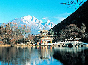 DRAGONS DE CHINE