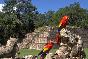 Sur les traces de l’empire maya