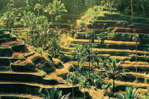 La Java des Îles