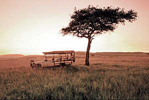 Savanes et plages du Kenya