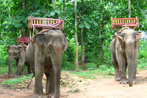 Laos, enfant du Mékong