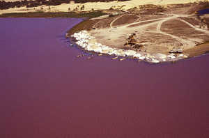 DECOUVERTE DU SENEGAL