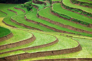 MOSAÏQUE VIETNAMIENNE